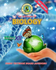Biology Class 12 Sindh Board English Medium 2023–24 Edition Book Cover